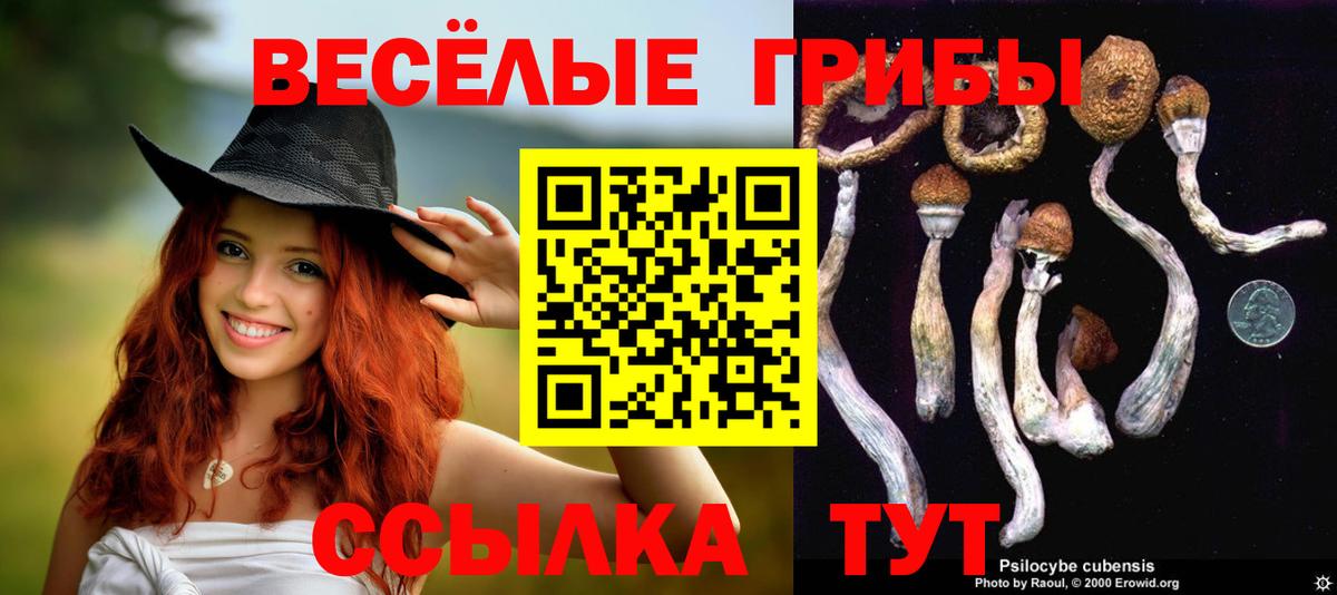 Псилоцибиновые грибы Psilocybe  купить закладку  Вход с VPN  Узловая  Галлюциногенные грибы Psilocybine cubensis 