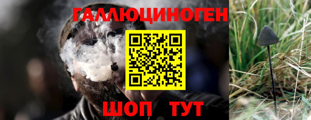 Галлюциногенные грибы прущие грибы Узловая